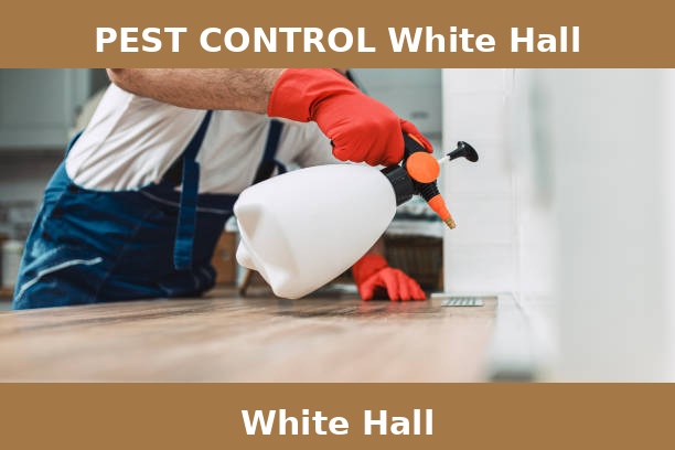 PEST CONTROL White Hall